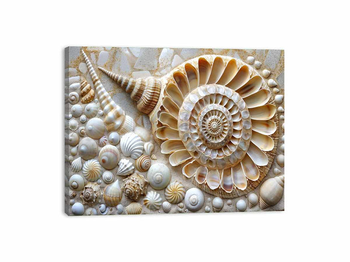 SHell  Canvas Print