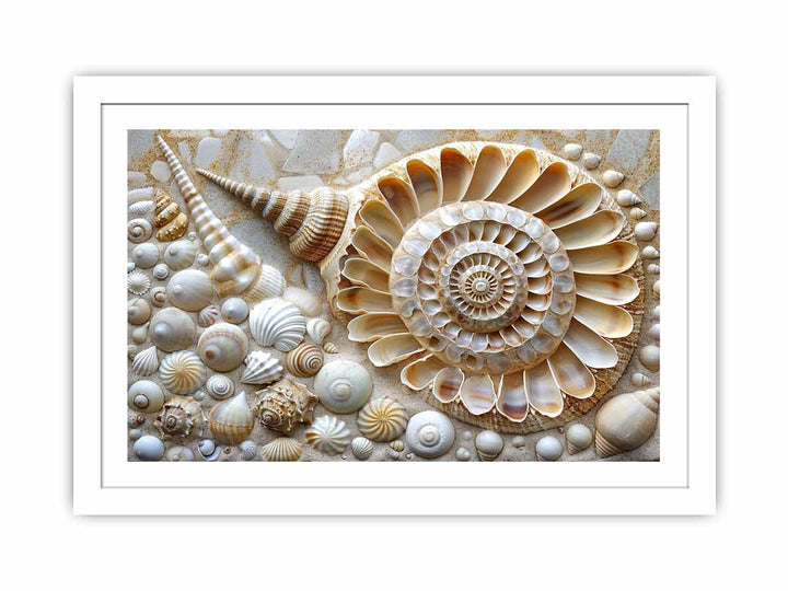 SHell  Streched canvas