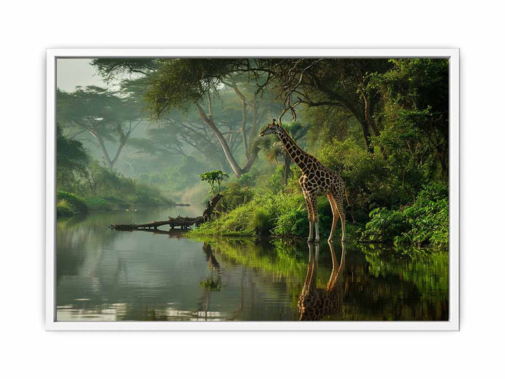 Giraffe in Africa Framed Print