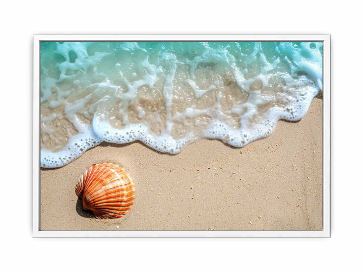 SHell  Framed Print