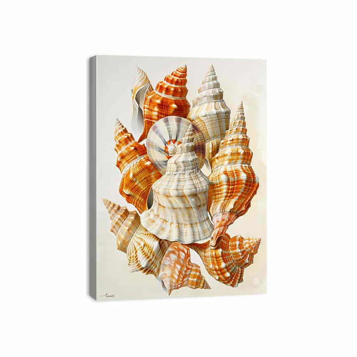 SHell  Canvas Print