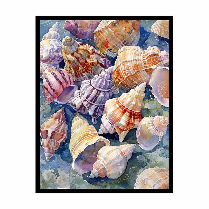 SHell   Painting