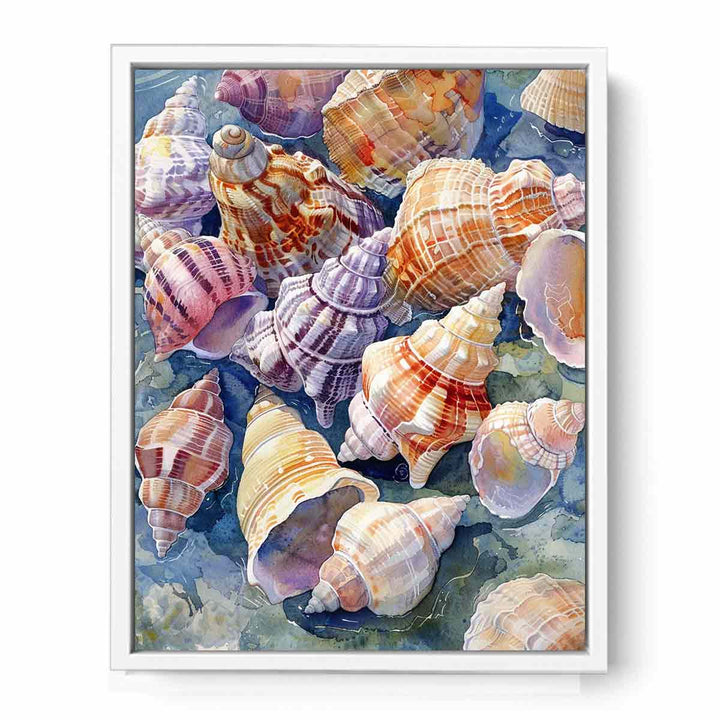 SHell  Framed Print