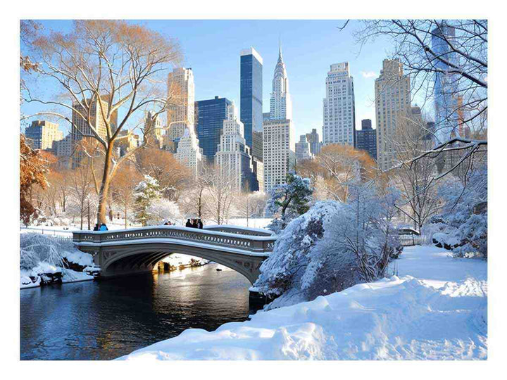 Central Park in Winter 