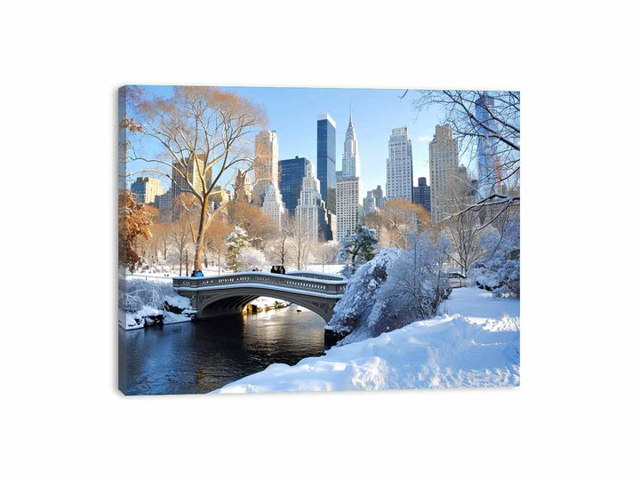 Central Park in Winter  Canvas Print