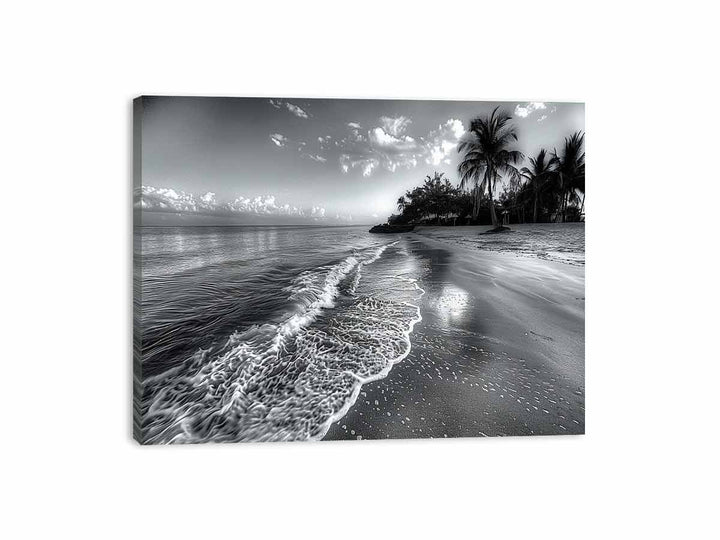 Beach  Canvas Print