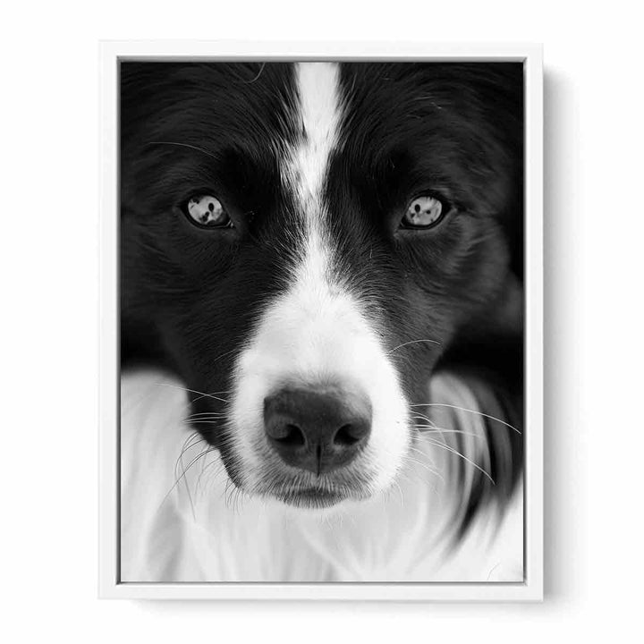 Dog  Framed Print