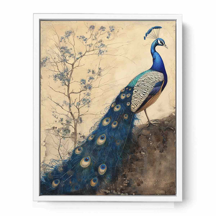 Blue Peacock  Framed Print