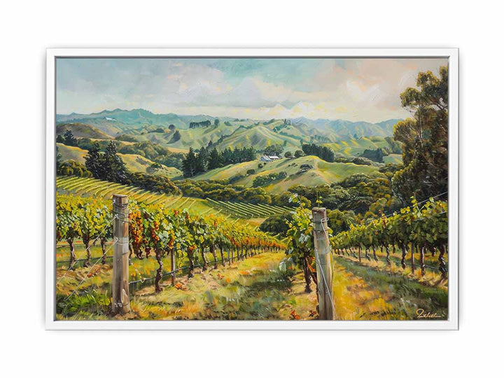 South Australia Vineyard  Framed Print