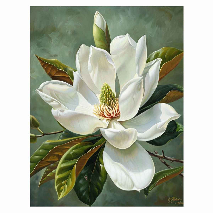 Magnolia Grandiflora Painting Art Print