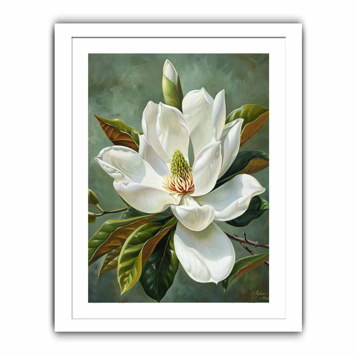 Magnolia Grandiflora Painting framed Print