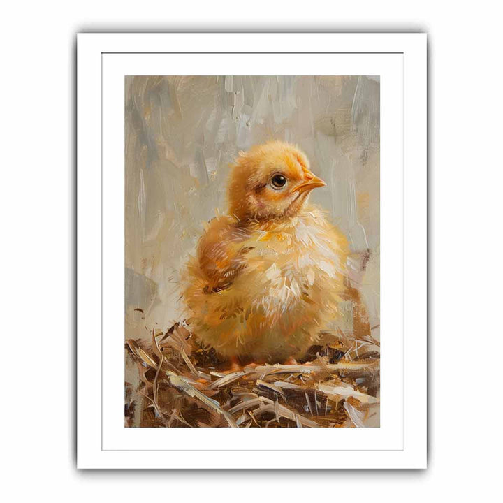 Baby Chicken Streched canvas