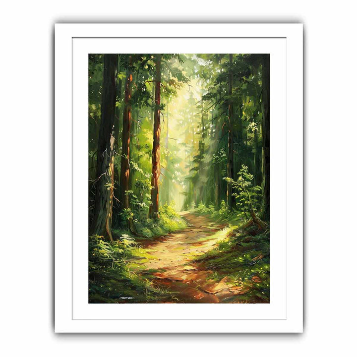 Forest Trees Path Streched canvas
