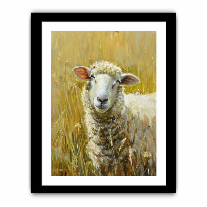 Sheep  Art Print