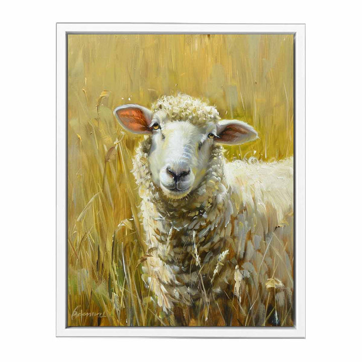 Sheep Framed Print