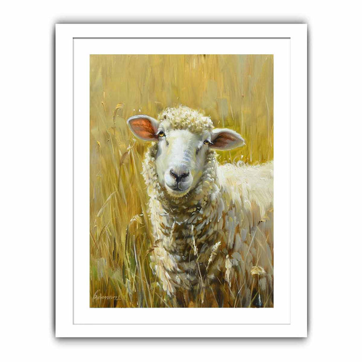 Sheep Streched canvas