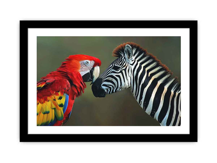 Parrot & Zebra   Art Print