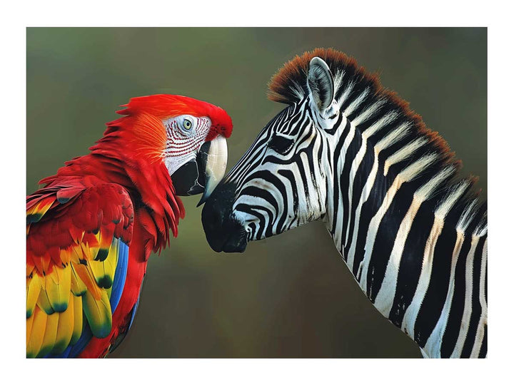 Parrot & Zebra 