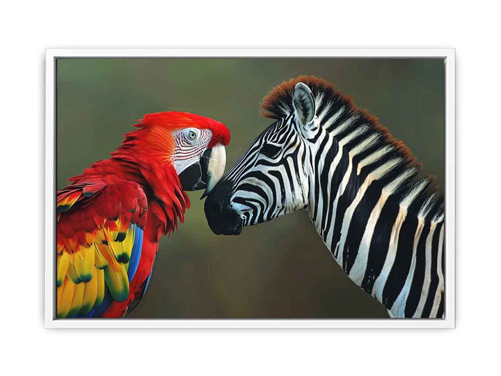 Parrot & Zebra  Framed Print
