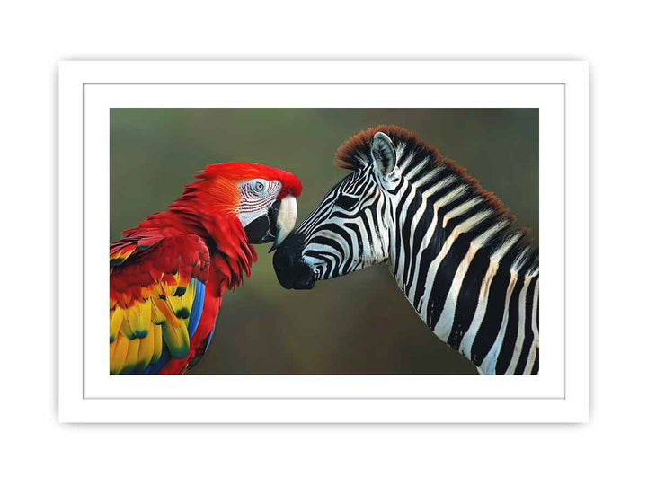 Parrot & Zebra  Streched canvas