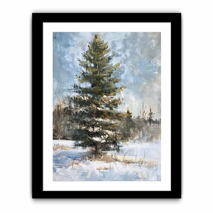 Pine Tree  Art Print