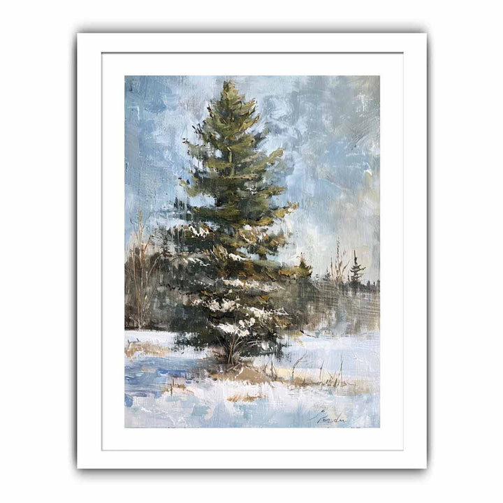 Pine Tree Streched canvas