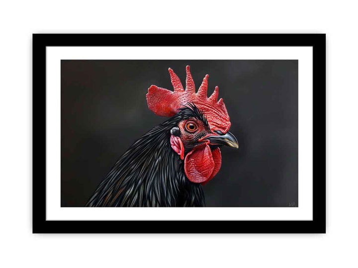 Black Cock  Art Print