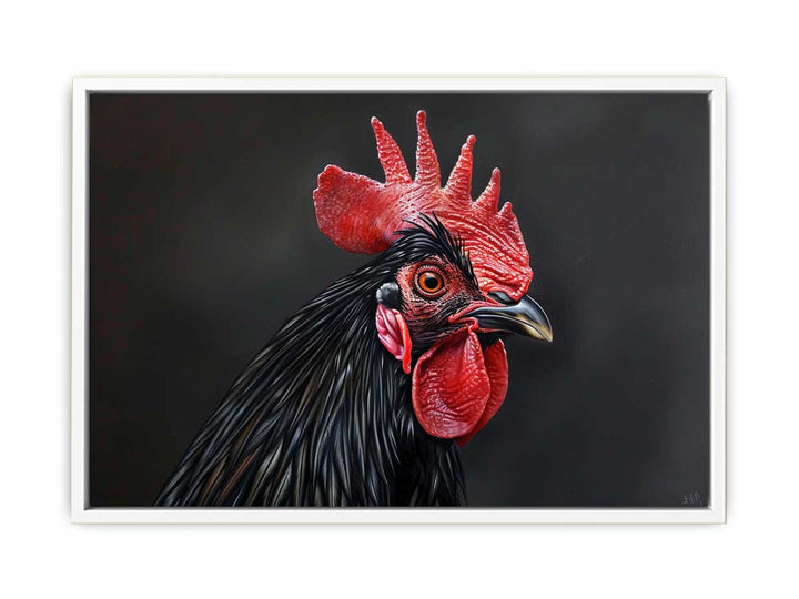 Black Cock Framed Print