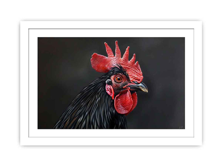 Black Cock Streched canvas