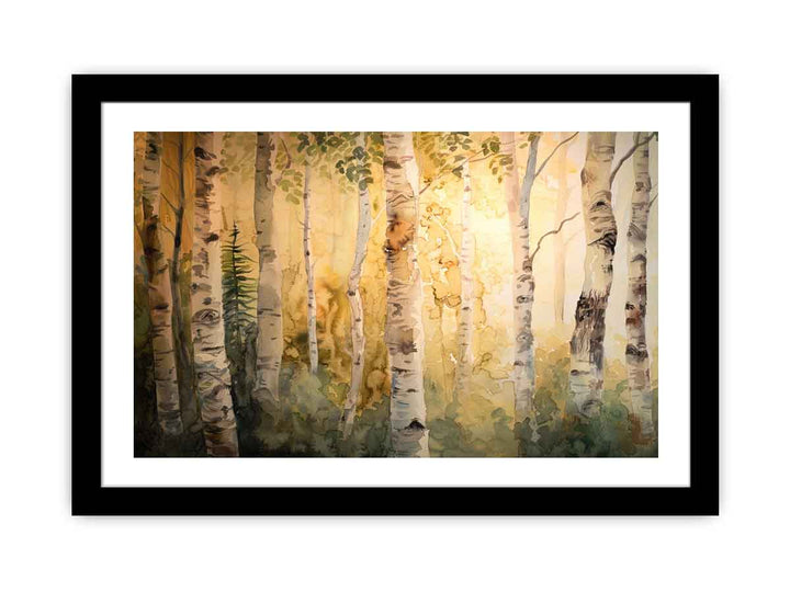 Birch Trees  Art Print