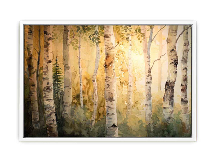 Birch Trees Framed Print