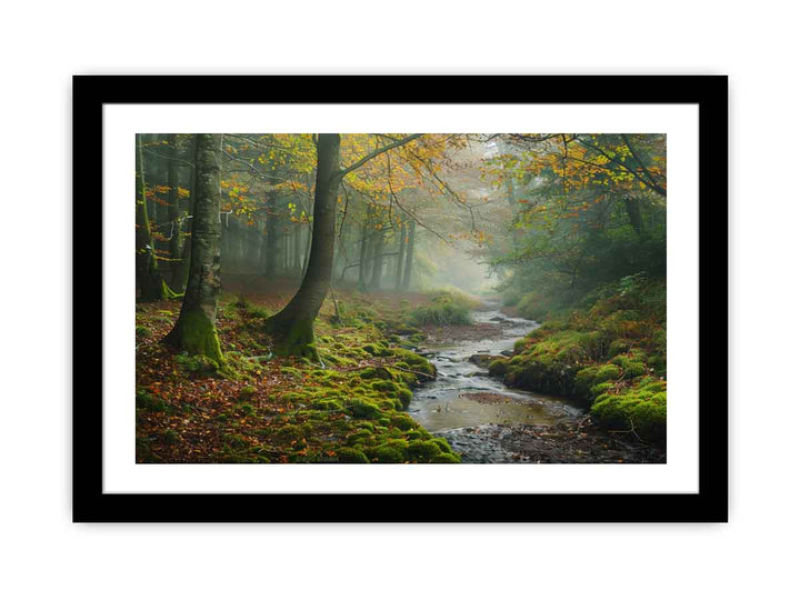 Misty Morning  Art Print