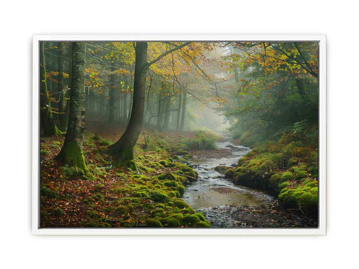 Misty Morning Framed Print