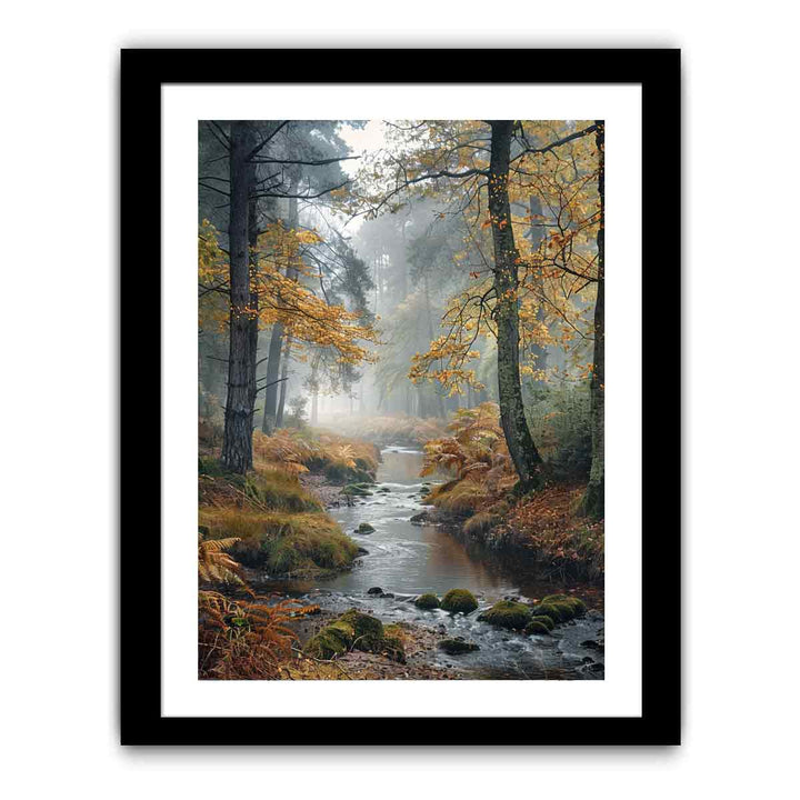 Autumn Woodland  Art Print