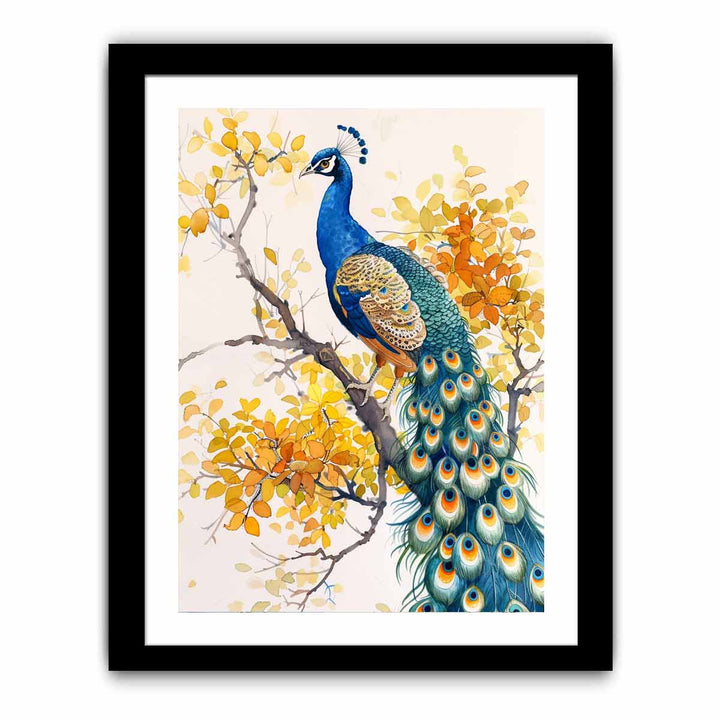 Peacock Art   Art Print