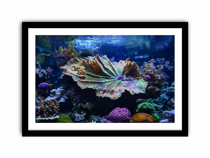 Underwater Coral   Art Print