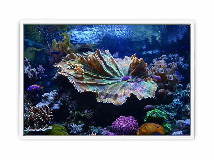 Underwater Coral  Framed Print