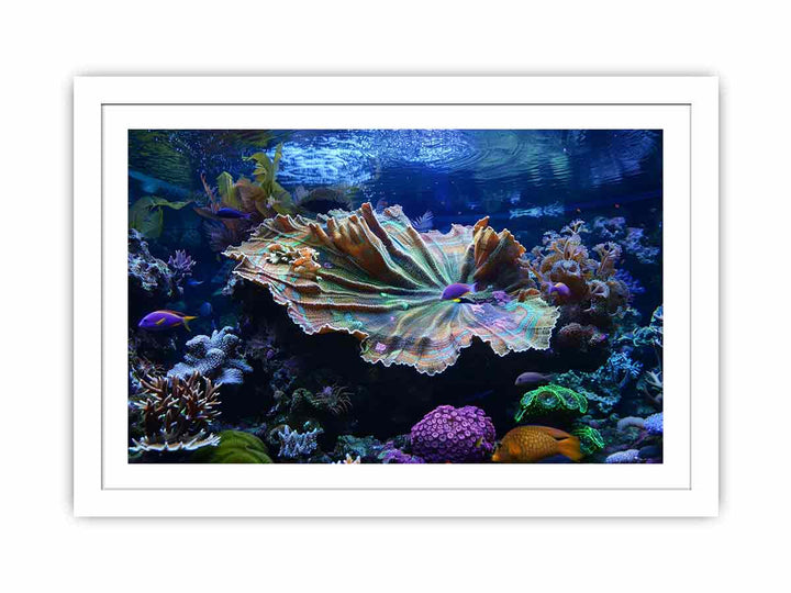 Underwater Coral  Streched canvas