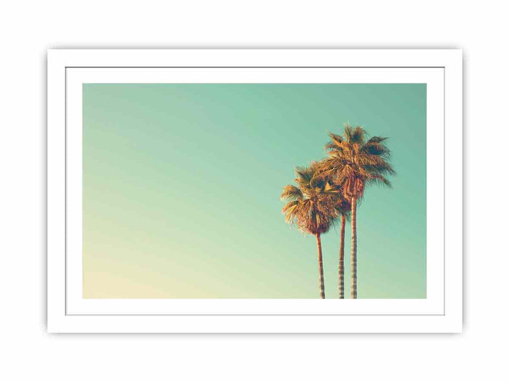 Palm Trees  Streched canvas