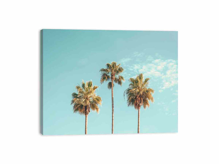 3 Palms Canvas Print