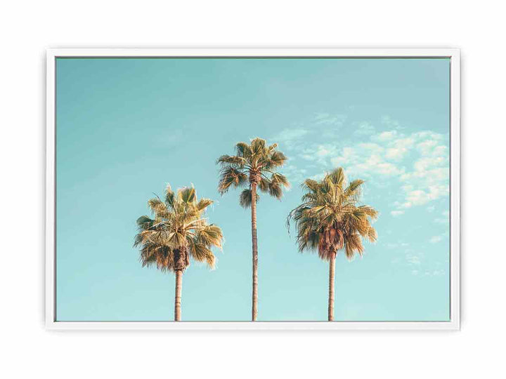 3 Palms Framed Print