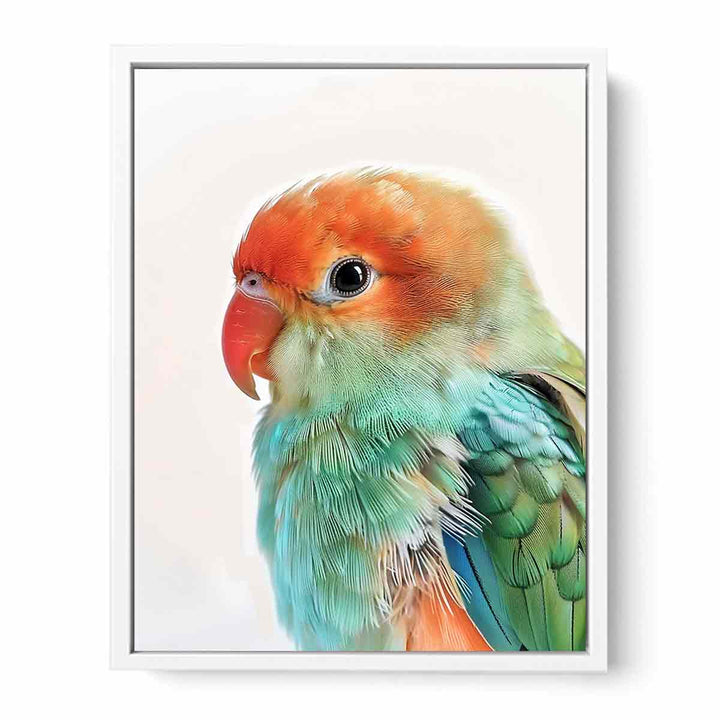 Soft Feathers Framed Print