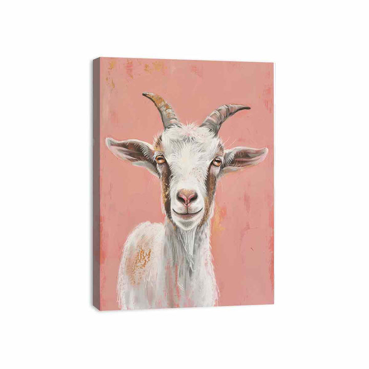 Cute Sheep  Canvas Print