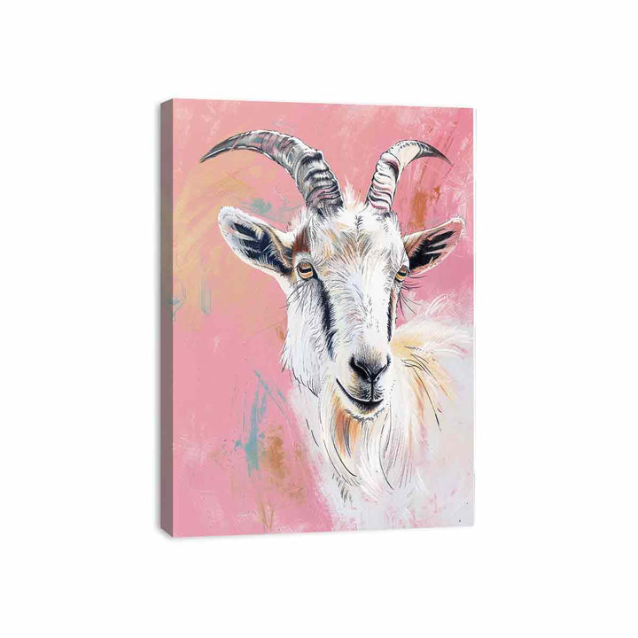 Sheep  Canvas Print