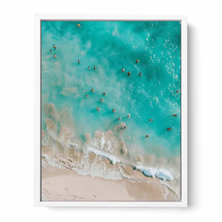 Swim  Framed Print