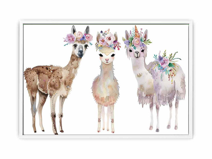 Three Llama Framed Print