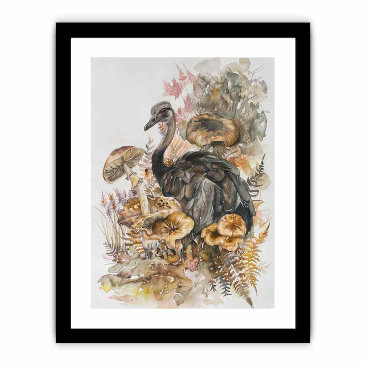 Ostrich   Art Print