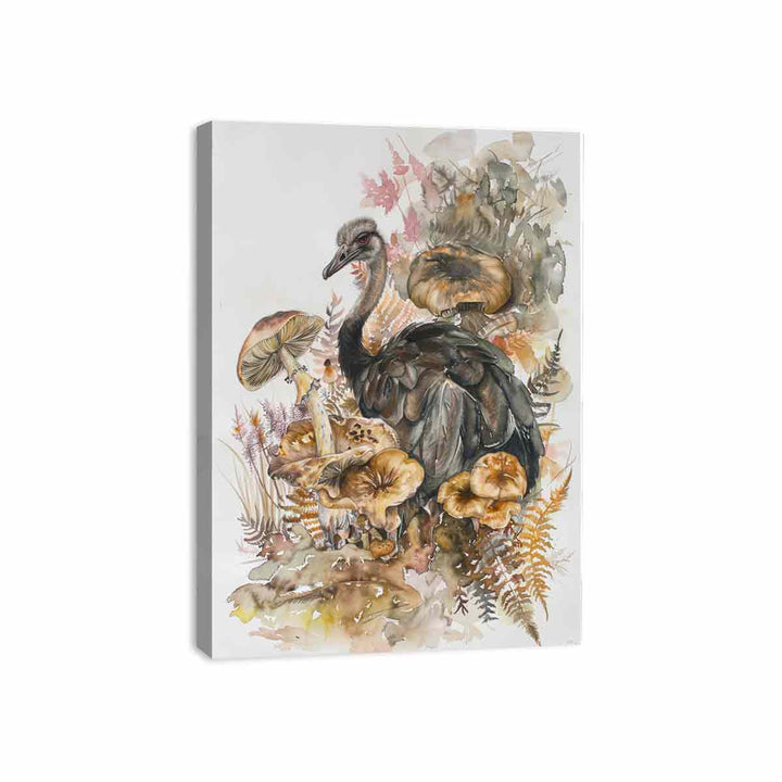 Ostrich  Canvas Print