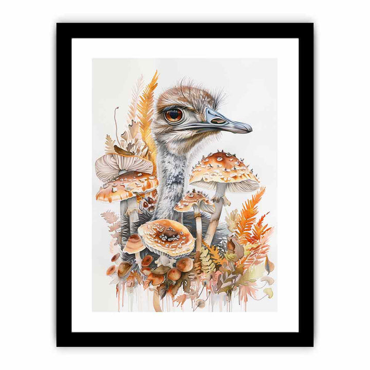 Ostrich   Art Print