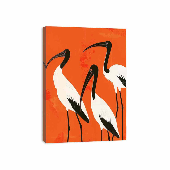 3 Ibis Canvas Print